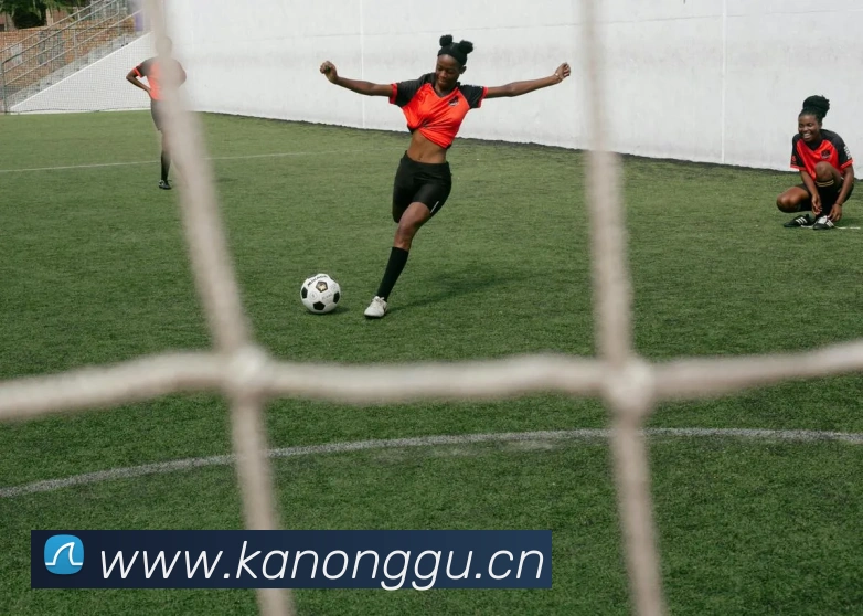 乐竞官网平台生态图